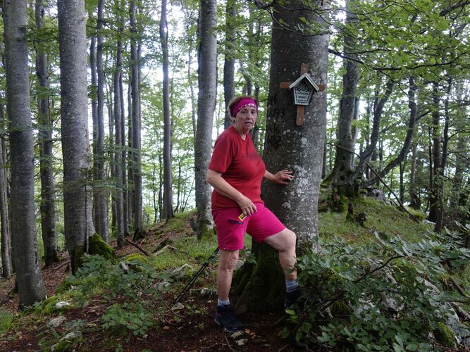 Gipfelstürmer 2024 - Rosa - Annasberg (1172m)