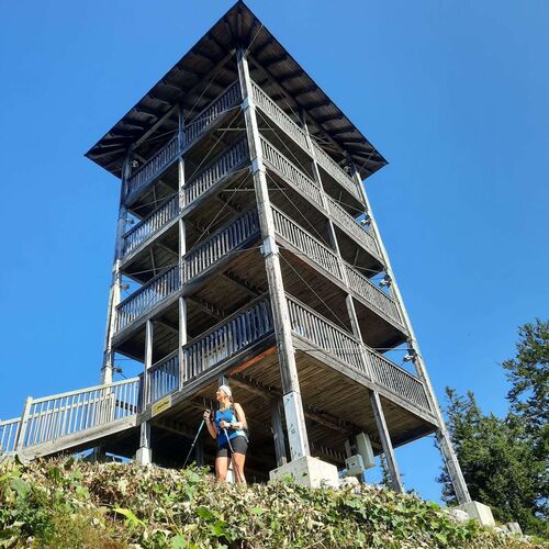 Gipfelstürmer 2024 - Christine - Tressenstein Bad Aussee (1201m)