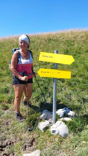 Gipfelstürmer 2024 - Ingrid - Gschwandtsattel (1743m )