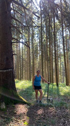 Gipfelstürmer 2024 - Gabriele - Geierkogel (886m)