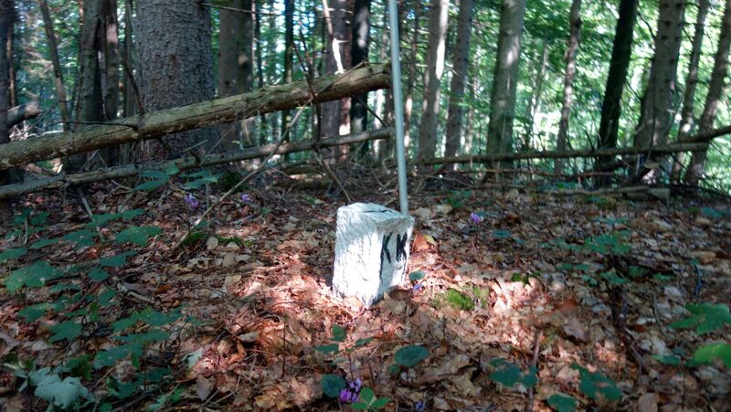 Gipfelstürmer 2024 - Karl - Dürrenberg (687m)