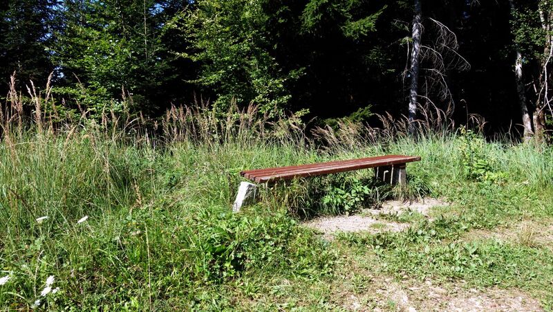 Gipfelstürmer 2024 - Karl - Hochgschirr (981m)