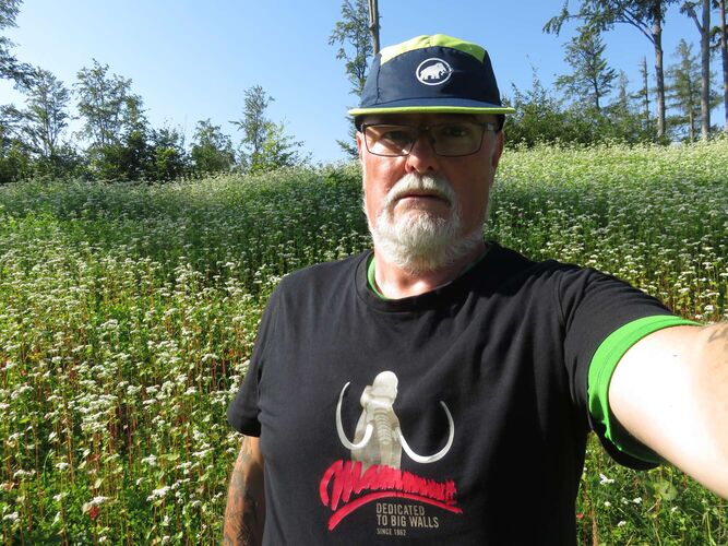 Gipfelstürmer 2024 - Helmut - Plachwitz (903m)