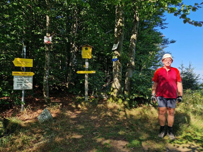 Gipfelstürmer 2024 - Helmut - Großer Peilstein (1062m)