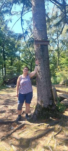 Gipfelstürmer 2024 - Elisabeth - Pfenningberg (616m)