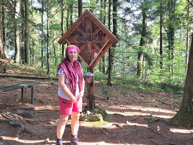 Gipfelstürmer 2024 - Rosa - Spadenberg (1000m)