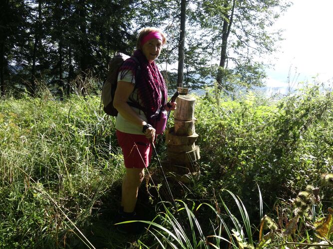 Gipfelstürmer 2024 - Rosa - Bärenkogel 920 m