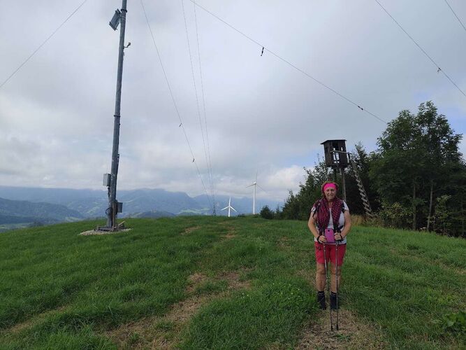 Gipfelstürmer 2024 - Rosa - Plattenberg (919)