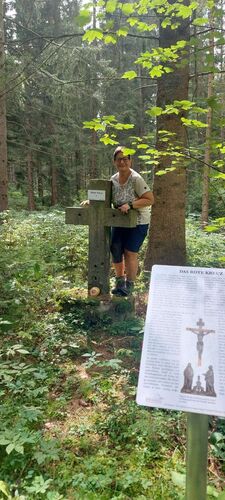 Gipfelstürmer 2024 - Elisabeth - Rotes Kreuz (Maierspindt/Windhaag bei Freistadt) (858m)