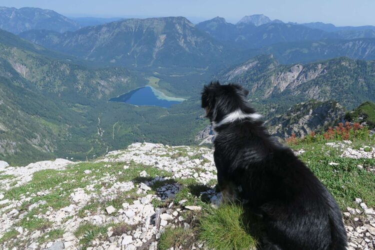 Gipfelstürmer 2024 - Andreas - Weißhorn (1755m)