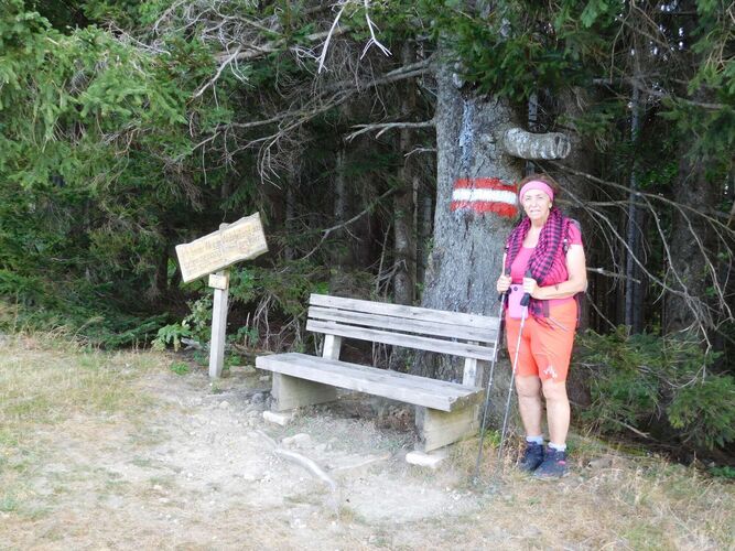 Gipfelstürmer 2024 - Rosa - Willeitenberg (837m)