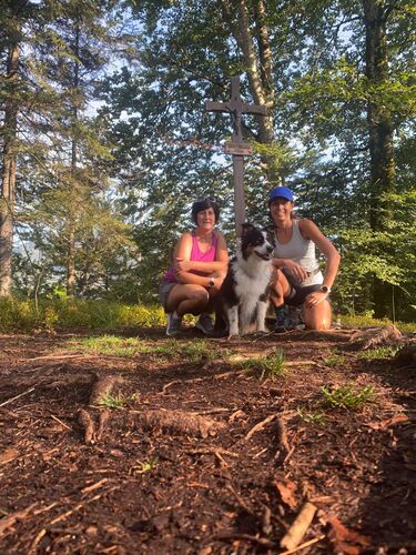 Gipfelstürmer 2024 - Claudia - Ameisstein (776m)