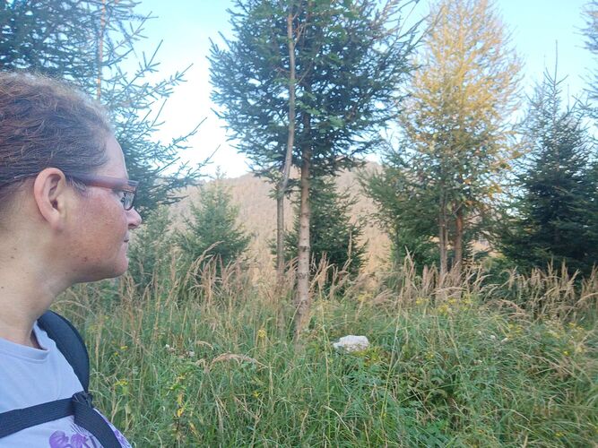 Gipfelstürmer 2024 - Angela - Thurnhamberg (984m)