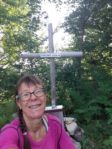 Gipfelstürmer 2024 - Margit - Eibling (1108m)