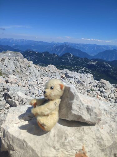 Gipfelstürmer 2024 - Angelika - Schöberl-Klettersteig (2426m)