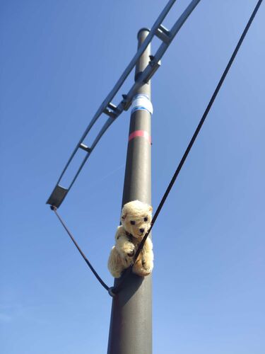 Gipfelstürmer 2024 - Angelika - Eibenberg (1598m)