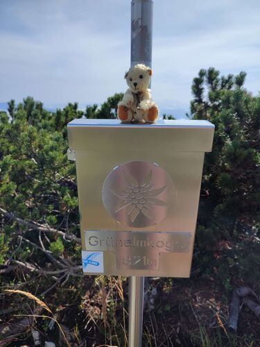 Gipfelstürmer 2024 - Angelika - Grünalmkogel (1791m)