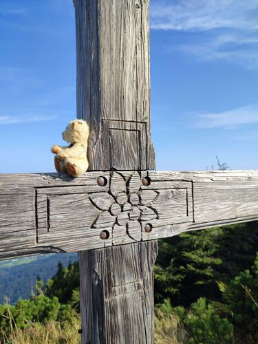 Gipfelstürmer 2024 - Angelika - Brennerin (1536m)