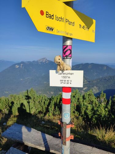 Gipfelstürmer 2024 - Angelika - Gartenzinken (1557m)