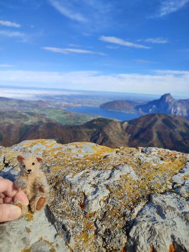 Gipfelstürmer 2024 - Angelika - Alberfeldkogel (1707m)