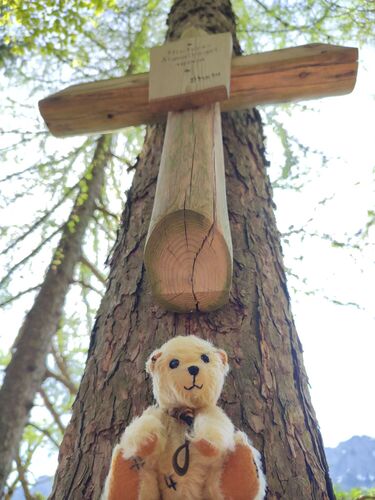 Gipfelstürmer 2024 - Angelika - Hinterer Signalkogel (1014m)