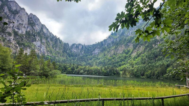 Gipfelstürmer 2024 - Monika - Grünberg Laudachsee