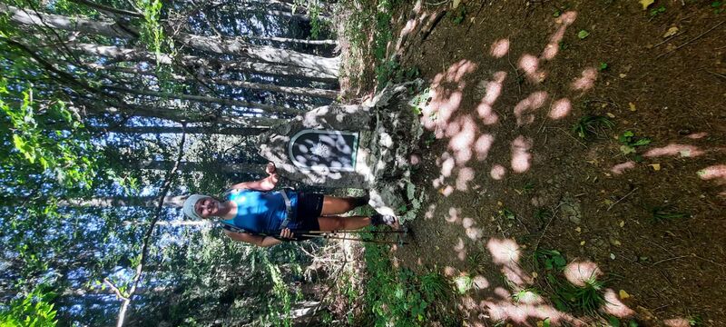 Gipfelstürmer 2024 - Ingrid - Hamberg (854m)