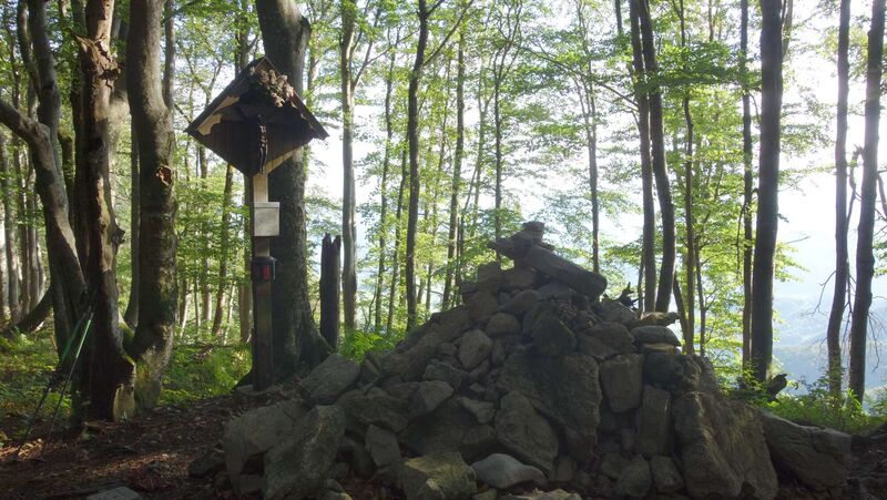 Gipfelstürmer 2024 - Karl - Kruckenbrettl (1020m)