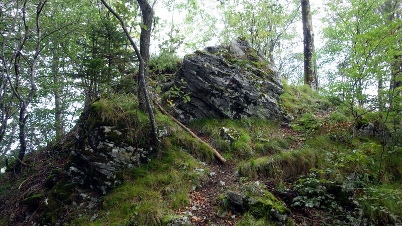 Gipfelstürmer 2024 - Karl - Nordgipfel Herndleck ~930m