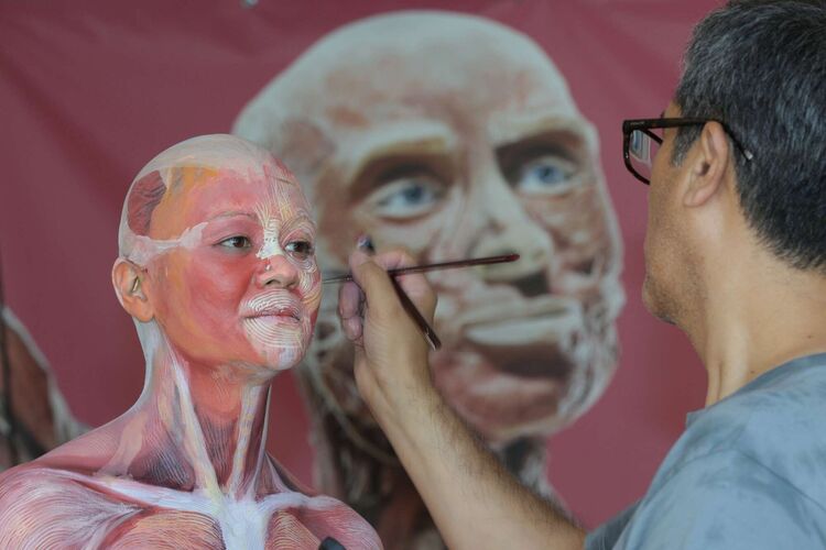 Körperwelten Kreativwettbewerb - Alois aus Steyr