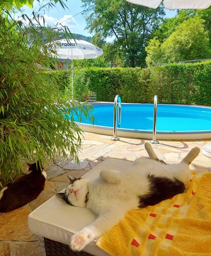 Cool am Pool - Andrea aus Schärding