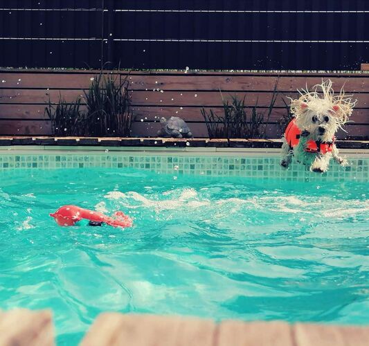 Cool am Pool - Tanja aus Linz-Land