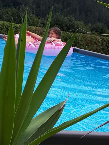 Cool am Pool - Alfred aus Amstetten