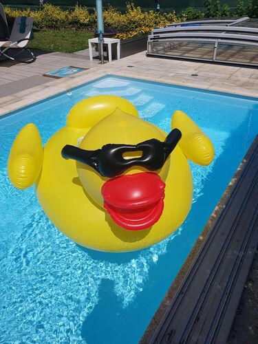 Cool am Pool - Astrid aus Linz