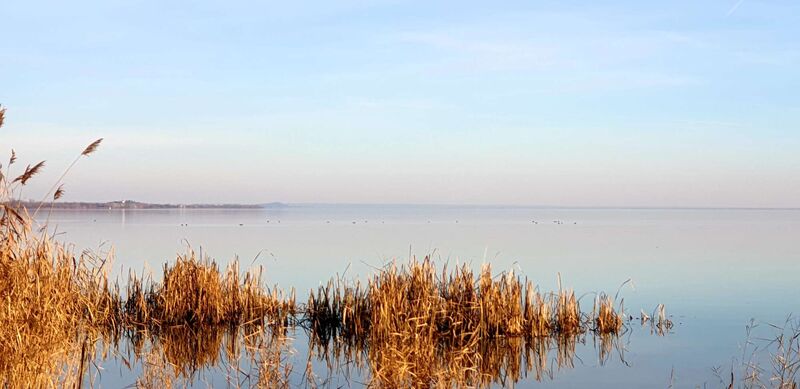 Cool am Pool - Eva aus Amstetten