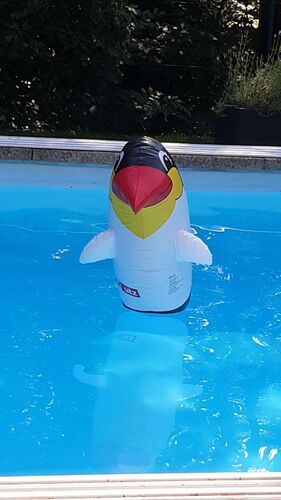 Cool am Pool - Karin aus Wels