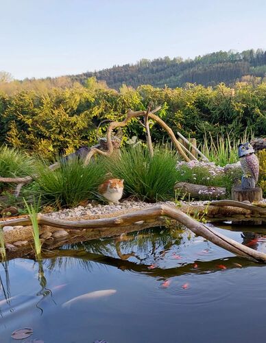 Cool am Pool - Eva-Maria aus Vöcklabruck