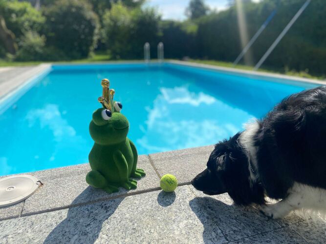 Cool am Pool - Isabell aus Wels