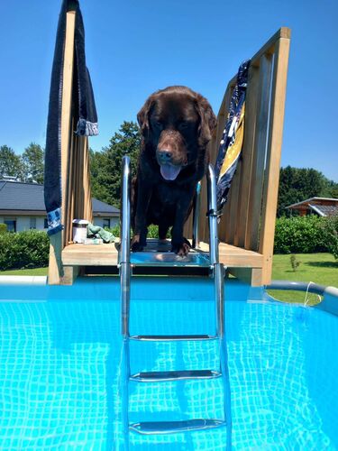 Cool am Pool - Melisa aus Kirchdorf