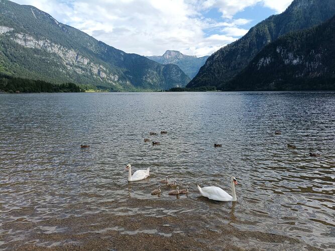 Cool am Pool - Isabella aus Gmunden