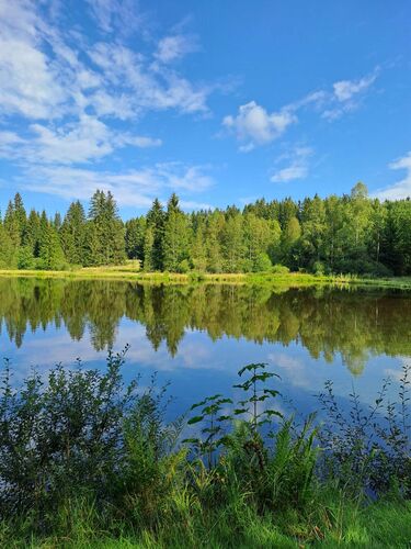 Cool am Pool - Rudolf aus Linz-Land