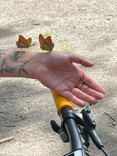 Das coolste Tattoo - Edeltraud aus Freistadt