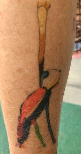 Das coolste Tattoo - Franziska  aus Gmunden