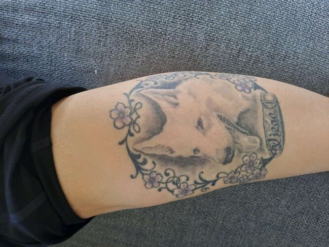 Das coolste Tattoo - Sandra  aus Braunau