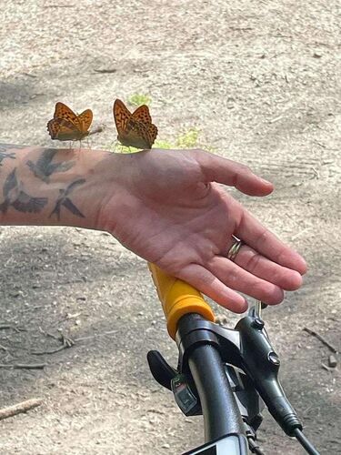 Das coolste Tattoo - Edeltraud aus Freistadt