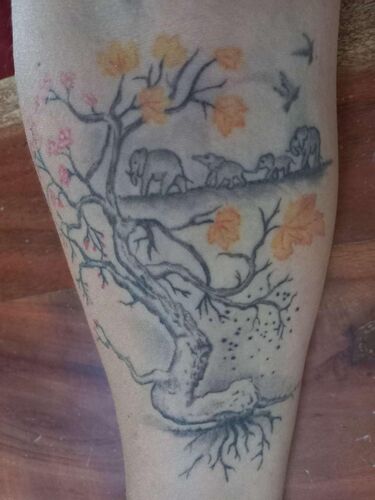 Das coolste Tattoo - Regina  aus Rohrbach