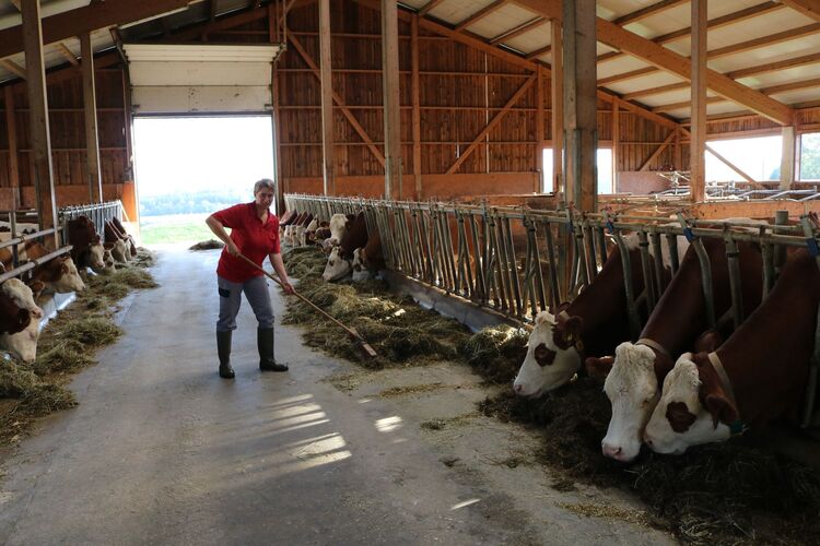 Tollster Job - Marianne aus Schärding ( Landwirtin ) - 