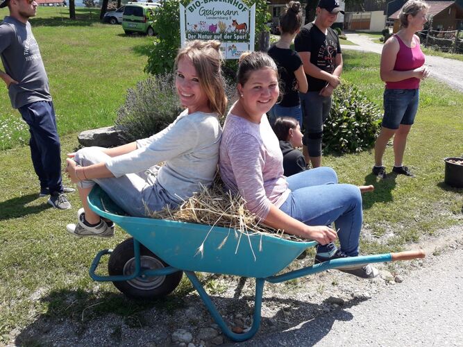 Tollster Job - Manuela aus Schärding ( Coach ) - Miteinander Gmbh - Produktionsschule go4job Schärding