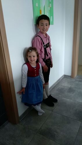 Trachtenvoting - Johanna aus Ried