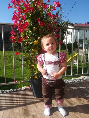 Trachtenvoting - Evelyn aus Freistadt